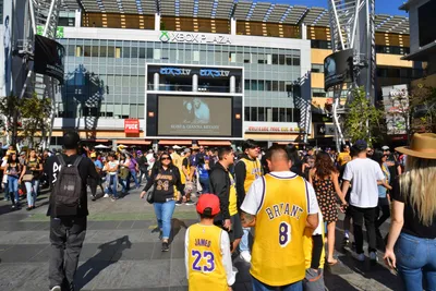 DSC_7193 (Large).JPG